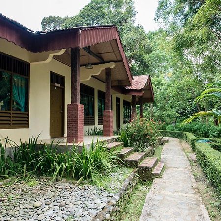 Ecolodge Bukit Lawang - Hotel&Jungletrek Екстер'єр фото