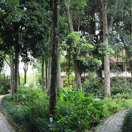 Ecolodge Bukit Lawang - Hotel&Jungletrek Номер фото