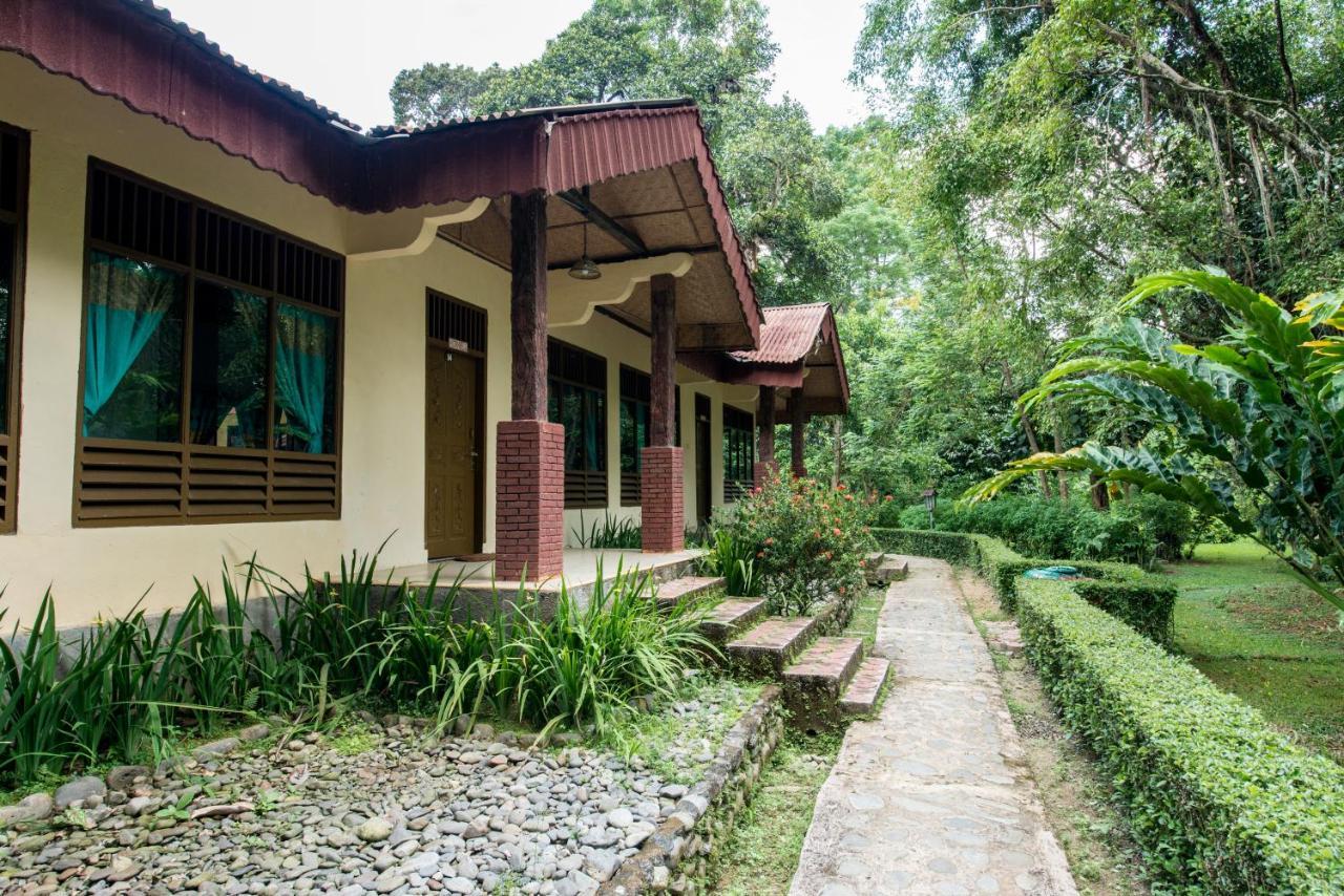 Ecolodge Bukit Lawang - Hotel&Jungletrek Екстер'єр фото