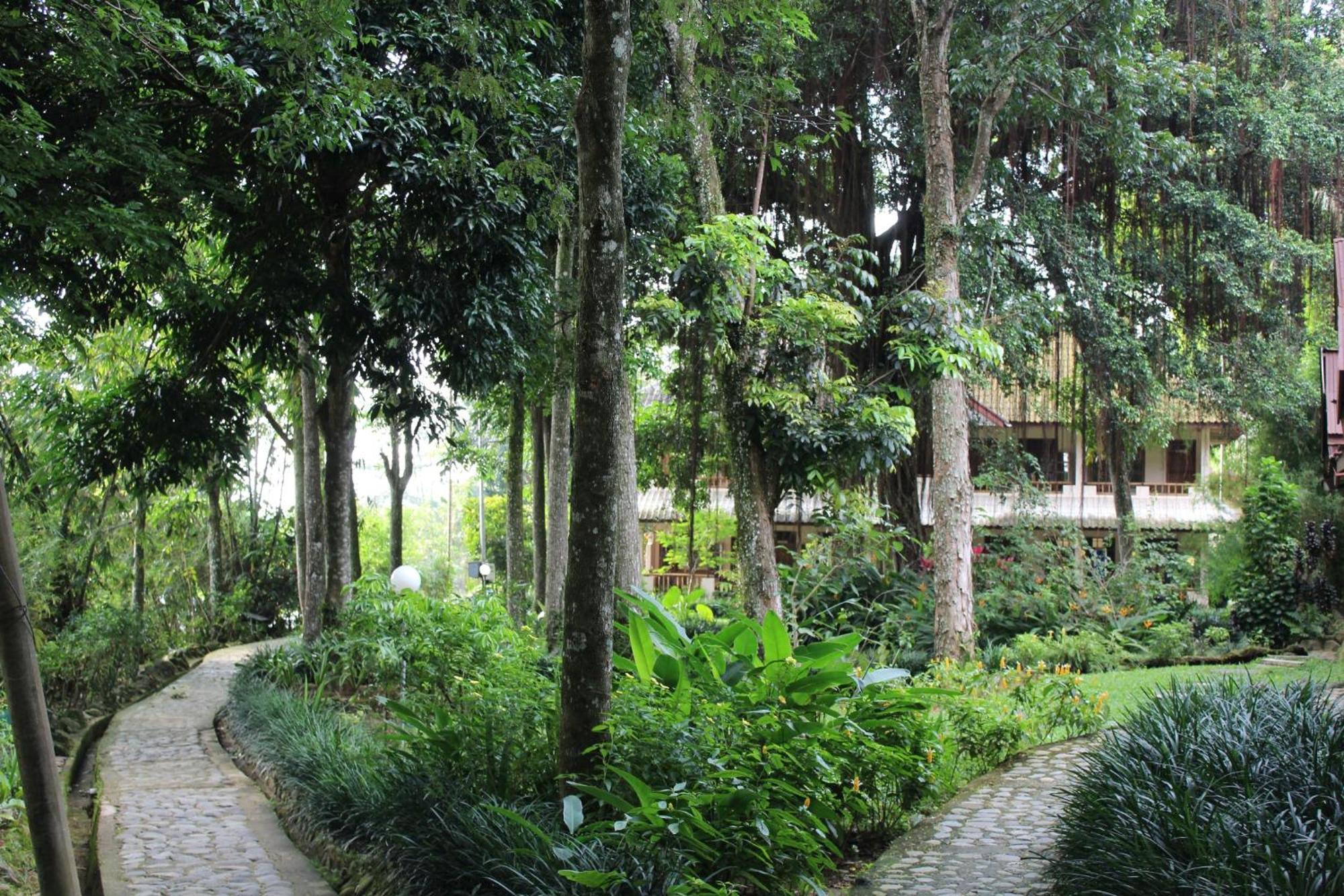Ecolodge Bukit Lawang - Hotel&Jungletrek Номер фото