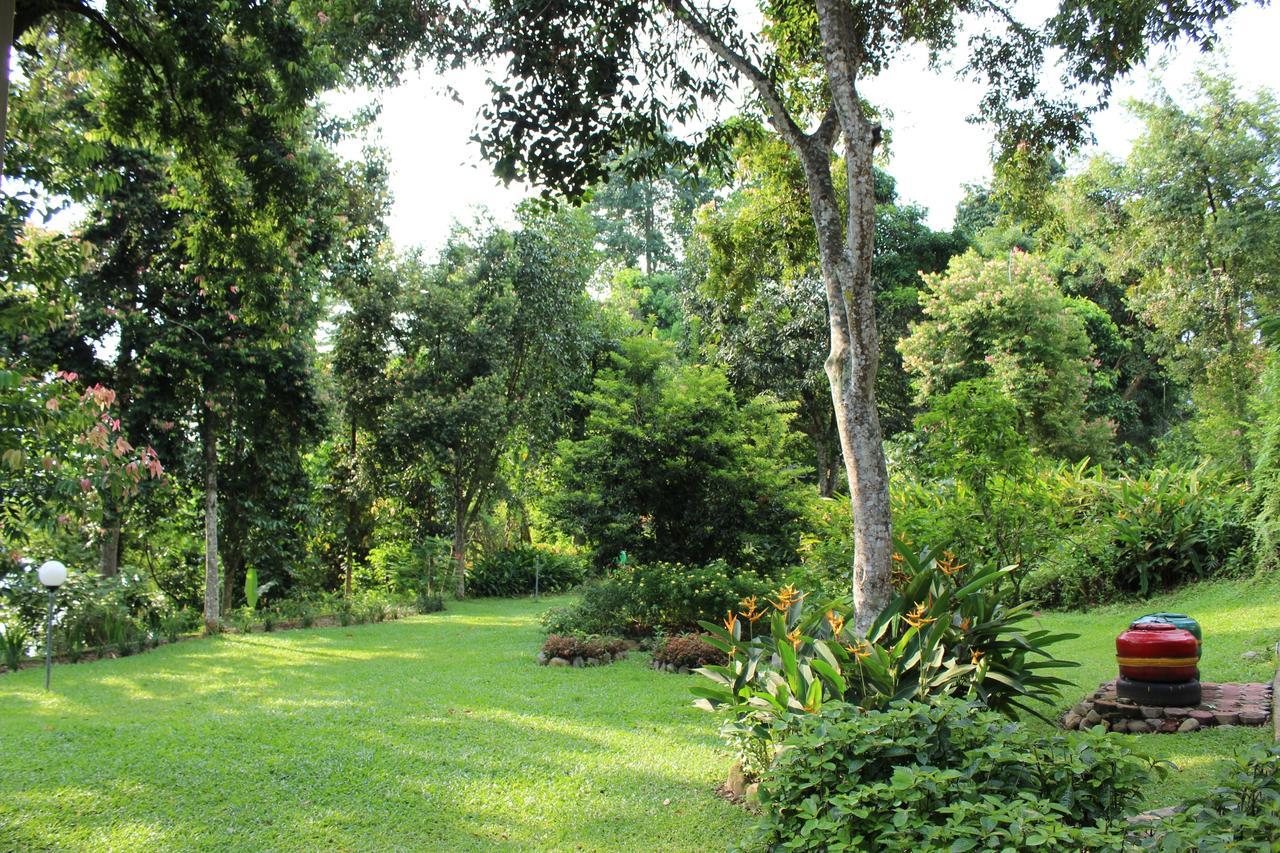 Ecolodge Bukit Lawang - Hotel&Jungletrek Екстер'єр фото