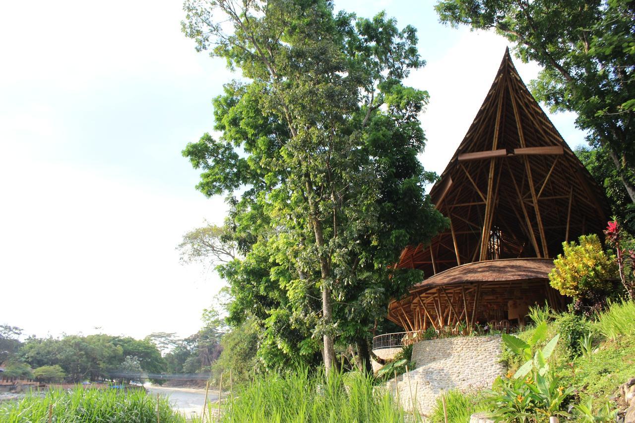 Ecolodge Bukit Lawang - Hotel&Jungletrek Екстер'єр фото