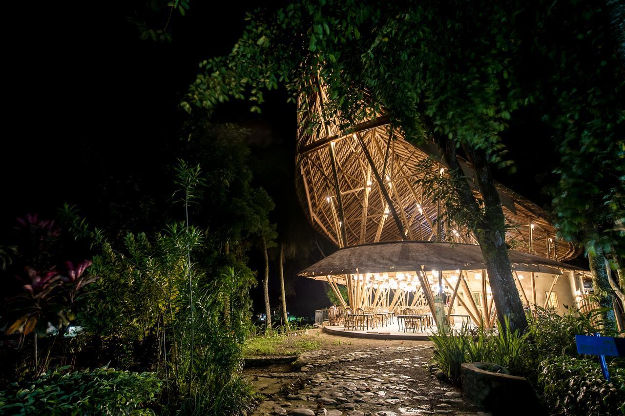 Ecolodge Bukit Lawang - Hotel&Jungletrek Екстер'єр фото