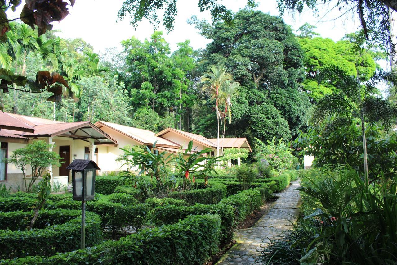 Ecolodge Bukit Lawang - Hotel&Jungletrek Екстер'єр фото